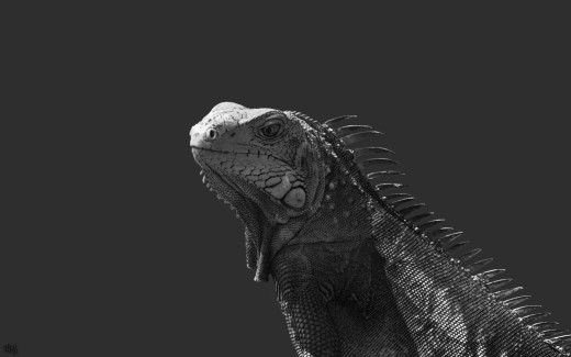 509458 (a): :1920x1200